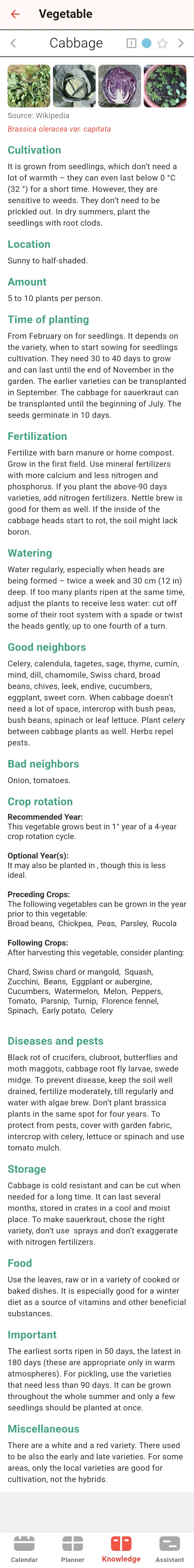 Screenshot der Tomappo App