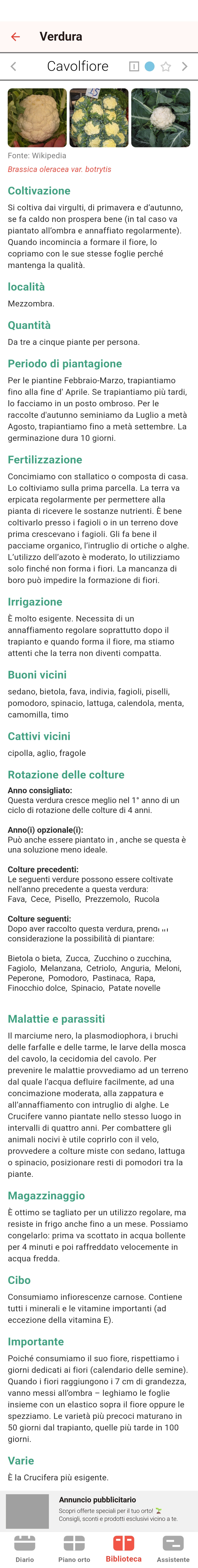 Screenshot dell’app Tomappo
